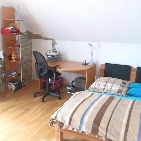 Neue, Helle Wohnung In Ludwigsburg, Nah Am Schloss Buitenkant foto